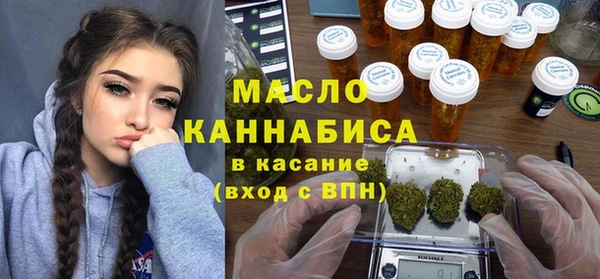 2c-b Инсар