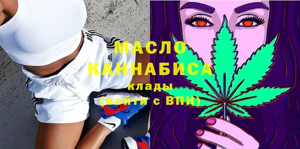 2c-b Инсар