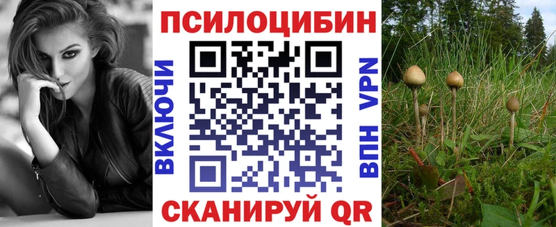 Купить закладки  Сураж  Галлюциногенные грибы Psilocybe 