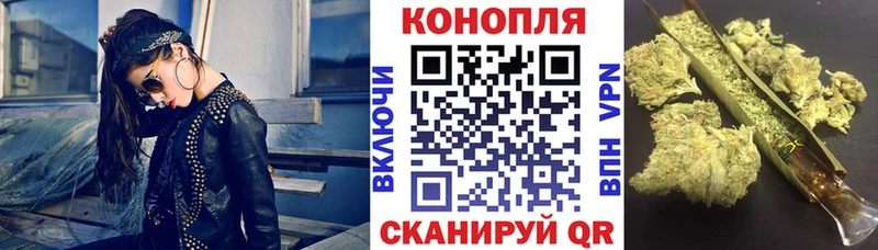 Шишки марихуана семена  Купить  Сураж 